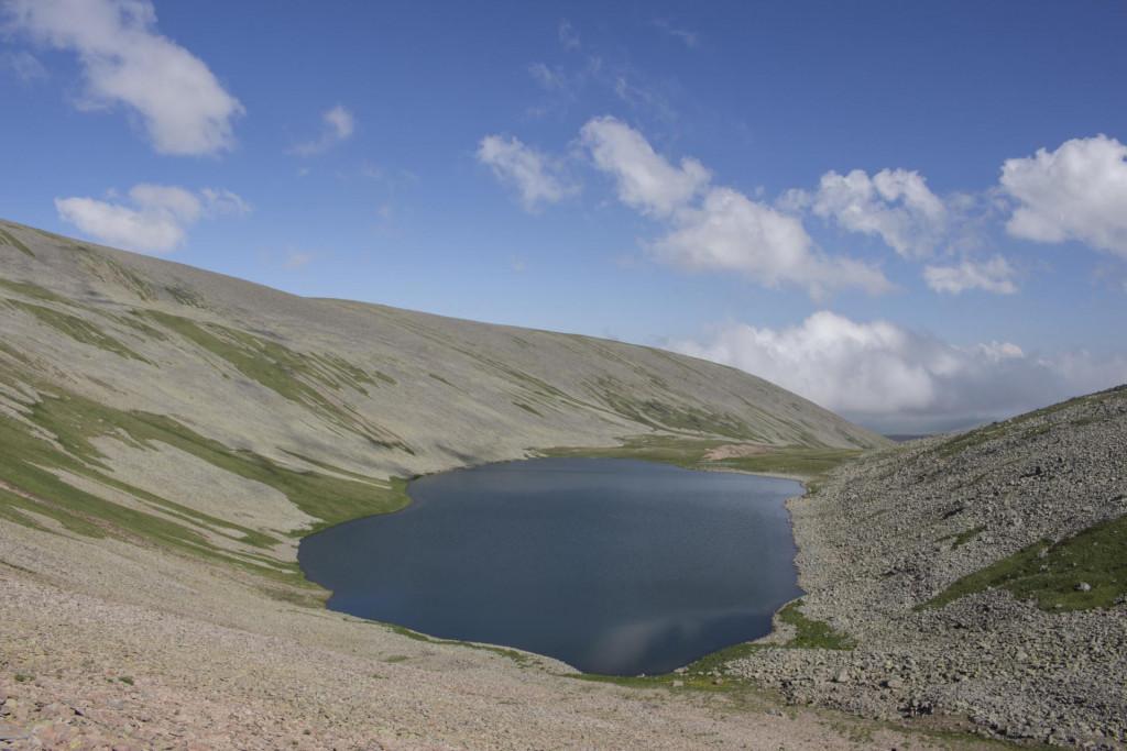 აბულ-სამსარის ქედი
