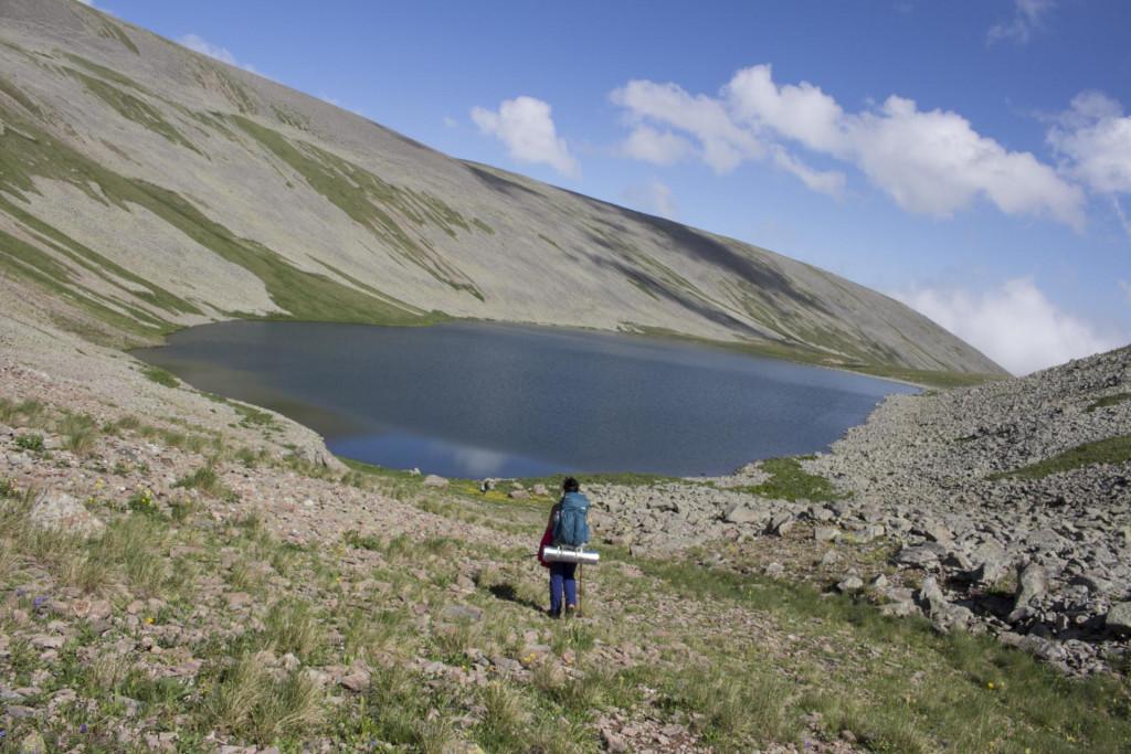 აბულ-სამსარის ქედი