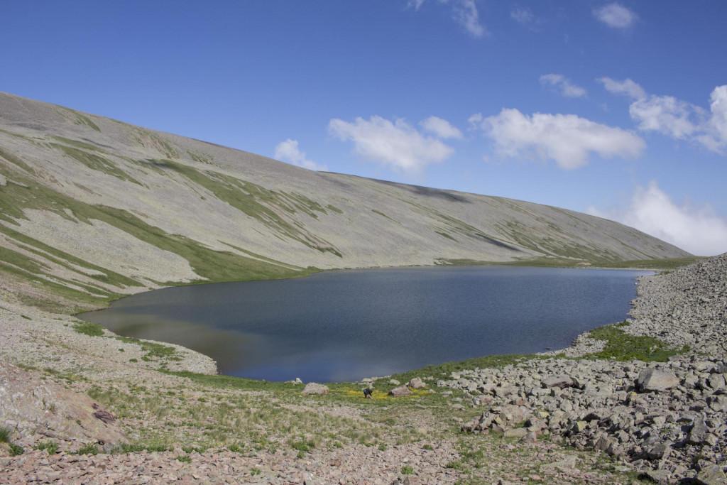 აბულ-სამსარის ქედი