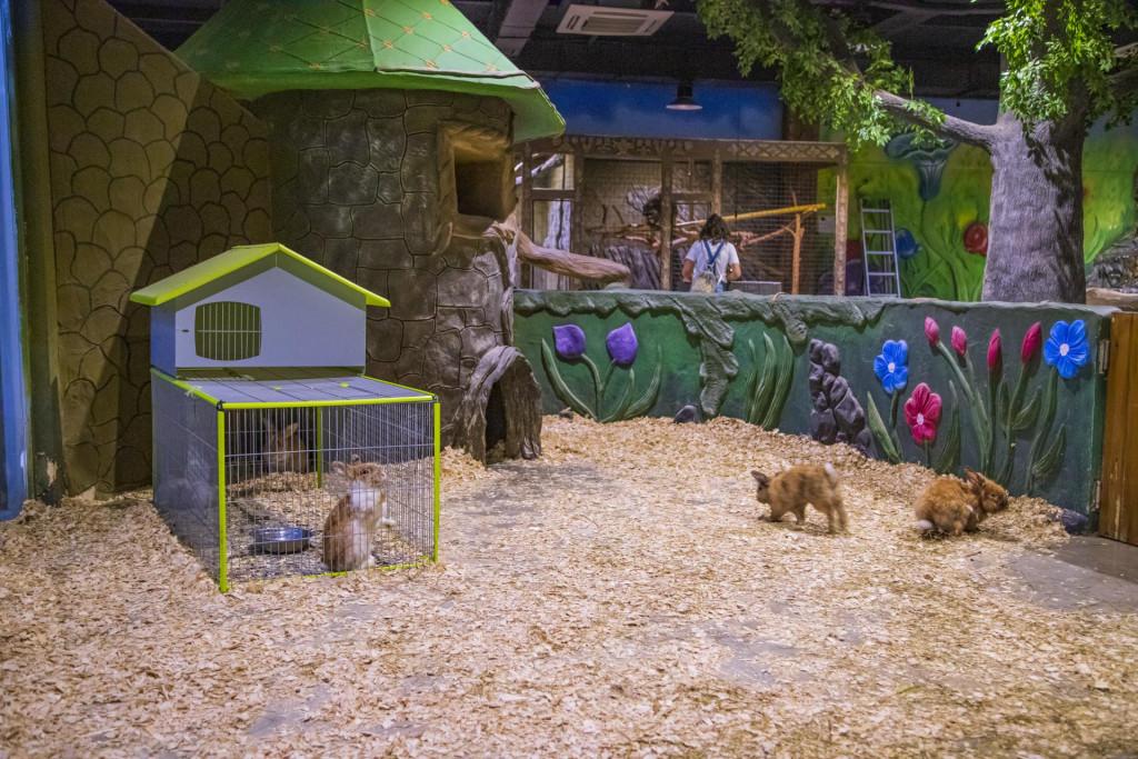 ბათუმის კონტაქტური ზოოპარკი - ზოოტოპია Батуми Контактный зоопарк Batumi Contact Zoo