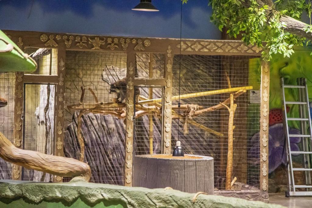 ბათუმის კონტაქტური ზოოპარკი - ზოოტოპია Батуми Контактный зоопарк Batumi Contact Zoo