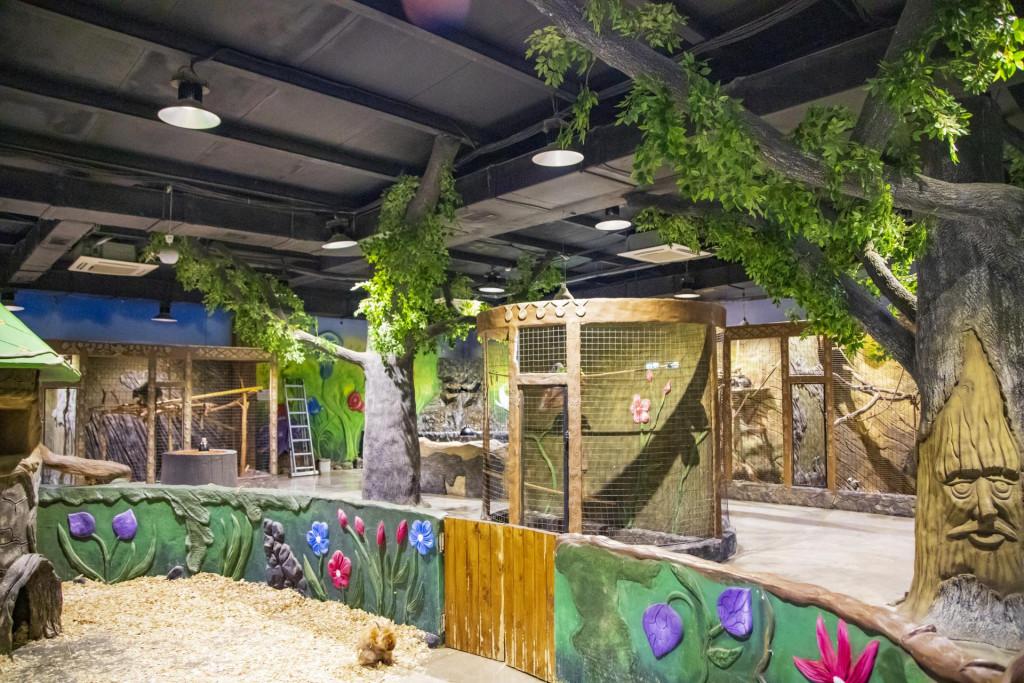 ბათუმის კონტაქტური ზოოპარკი - ზოოტოპია Батуми Контактный зоопарк Batumi Contact Zoo