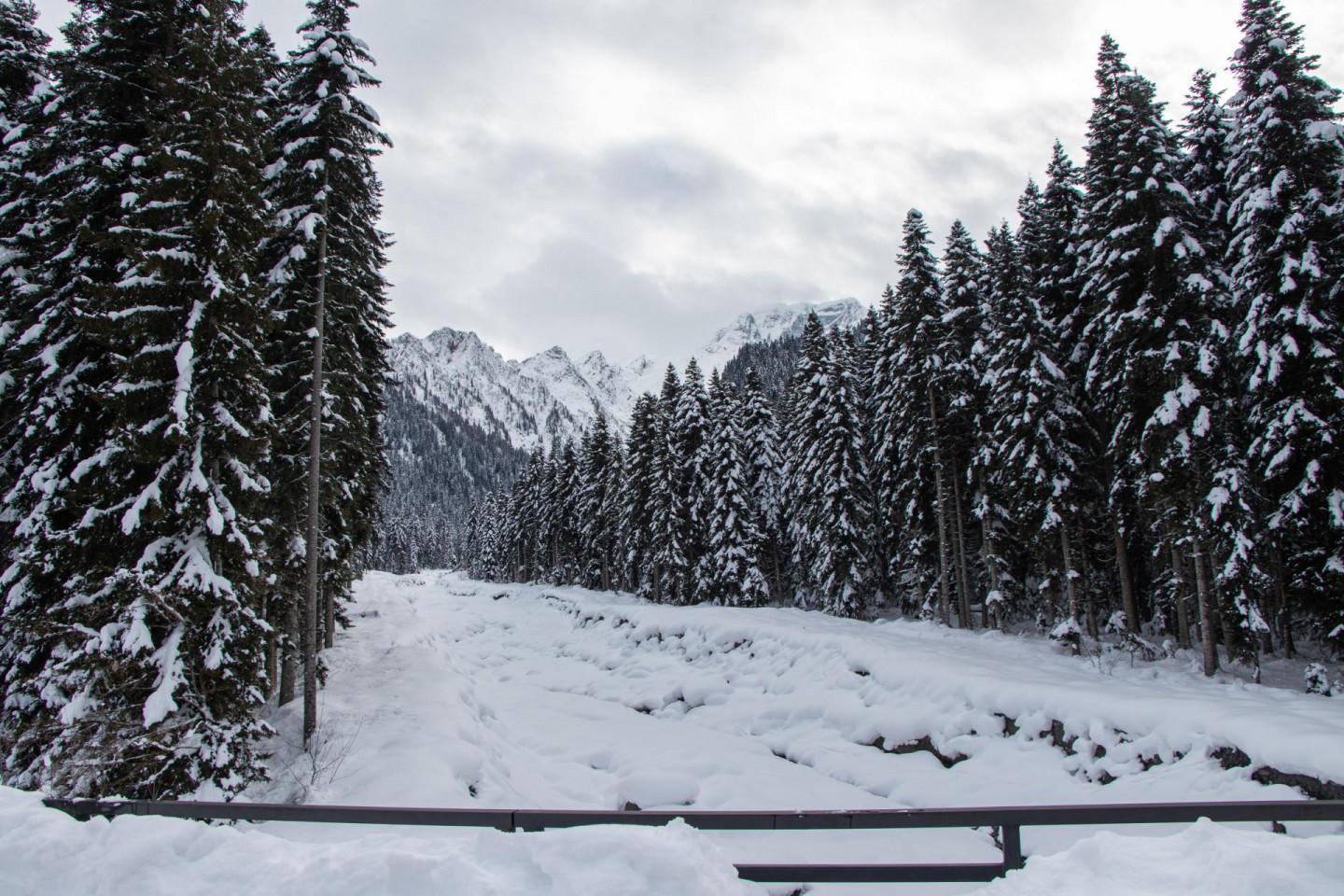 სოფელი შოვი village Shovi