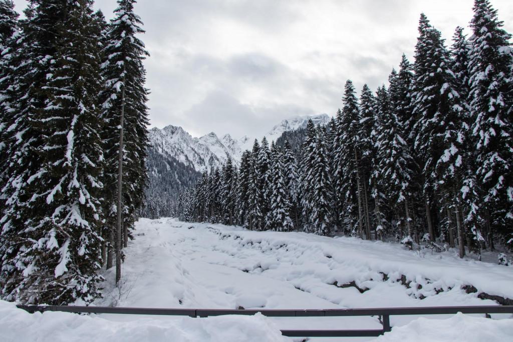 სოფელი შოვი village Shovi