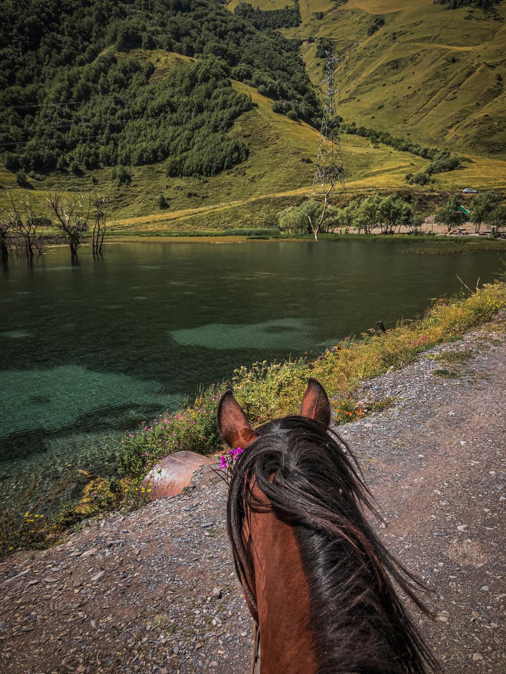 Horse riding in kazbegi