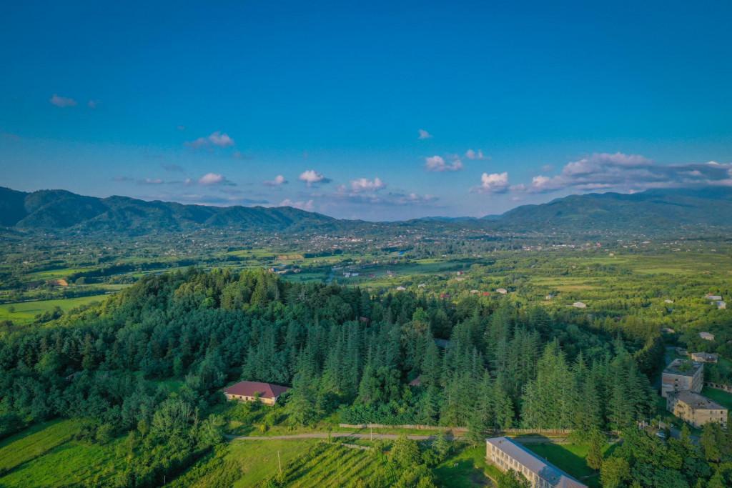 დენდროლოგიური პარკი, ერისთავების ციხე-დარბაზი, გორაბერეჟოული, ჩოხატაური, გურია - Dendrological Park, Eristavi Castle, Gorabeerezhuli, Chokhatauri, Guria