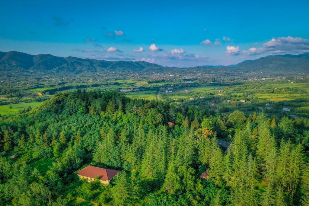 დენდროლოგიური პარკი, ერისთავების ციხე-დარბაზი, გორაბერეჟოული, ჩოხატაური, გურია - Dendrological Park, Eristavi Castle, Gorabeerezhuli, Chokhatauri, Guria