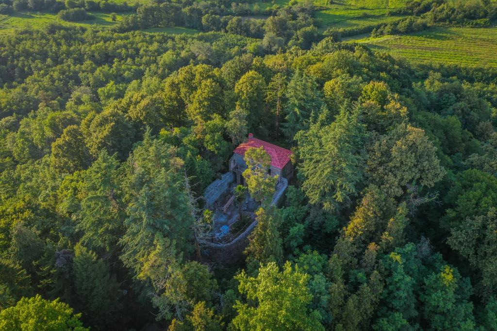 ერისთავების ციხე-დარბაზი, დენდროლოგიური პარკი, გორაბერეჟოული, ჩოხატაური, გურია - Eristavi Castle, Dendrological Park, Goraberezhuli, Chokhatauri, Guria
