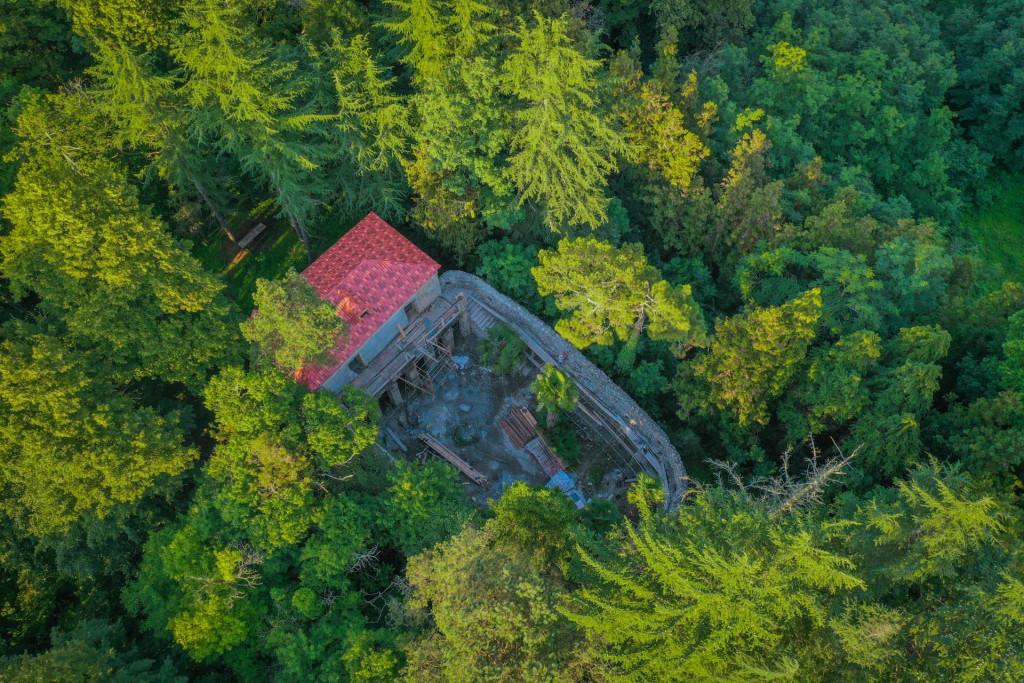 ერისთავების ციხე-დარბაზი, დენდროლოგიური პარკი, გორაბერეჟოული, ჩოხატაური, გურია - Eristavi Castle, Dendrological Park, Goraberezhuli, Chokhatauri, Guria