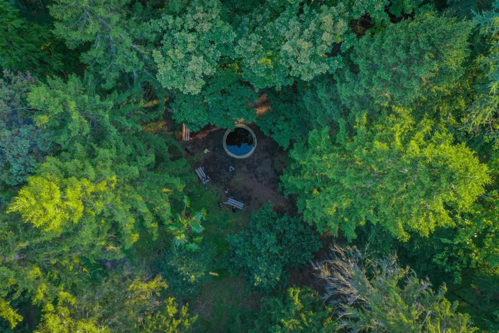 დენდროლოგიური პარკი, ერისთავების ციხე-დარბაზი, გორაბერეჟოული, ჩოხატაური, გურია - Dendrological Park, Eristavi Castle, Gorabeerezhuli, Chokhatauri, Guria