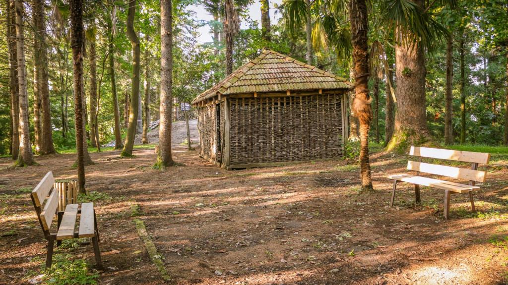 დენდროლოგიური პარკი, ერისთავების ციხე-დარბაზი, გორაბერეჟოული, ჩოხატაური, გურია - Dendrological Park, Eristavi Castle, Gorabeerezhuli, Chokhatauri, Guria