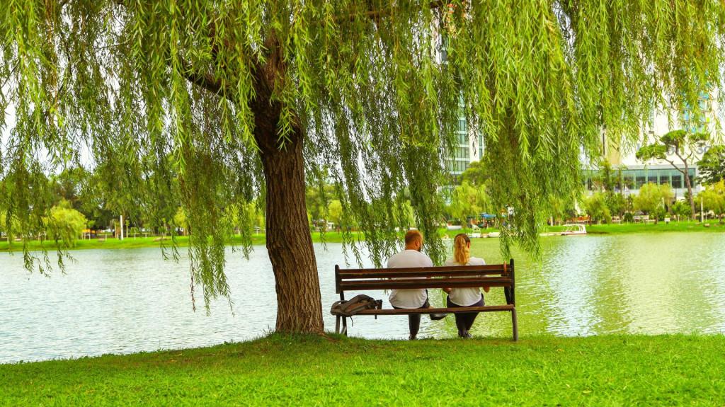 ბათუმის ცენტრალური პარკი (6 მაისის პარკი) May 6 Park Batumi Central Park Центральный парк Батуми