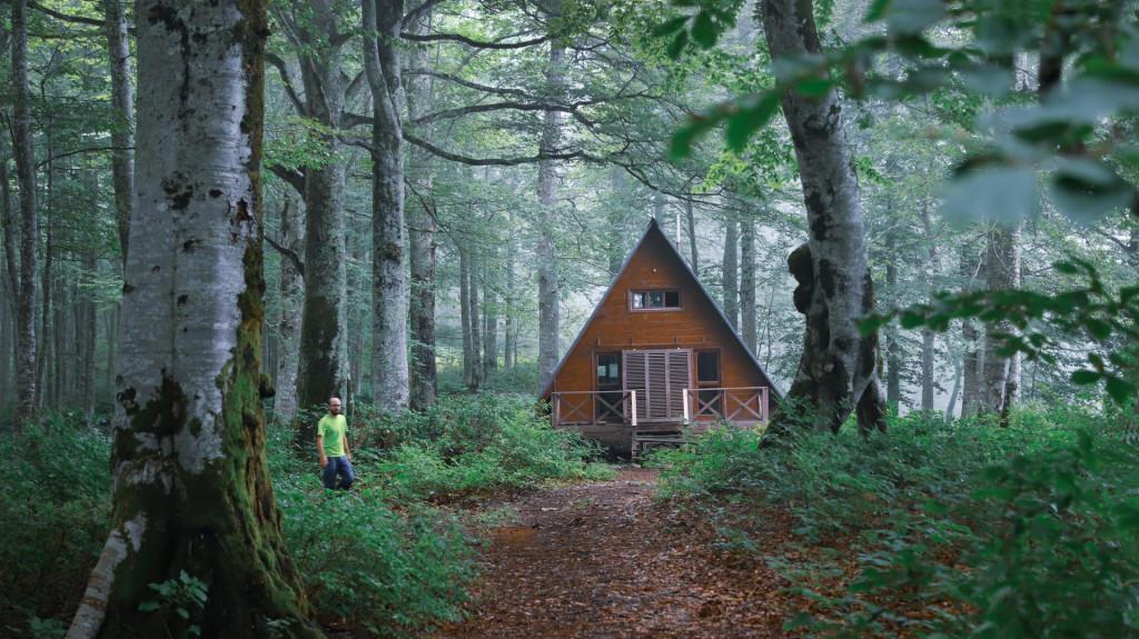 Mtirala National Park, Tourist shelter