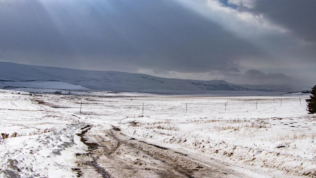 კარწახის ჭაობის აღკვეთილი - Kartsakhi Managed Reserve