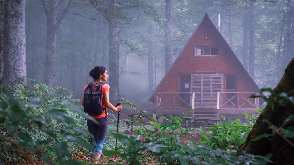 Mtirala National Park, Tourist shelter