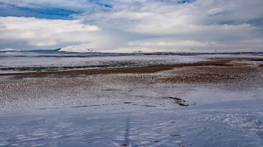 ხანჩალის აღკვეთილი - Khanchali Managed Reserve