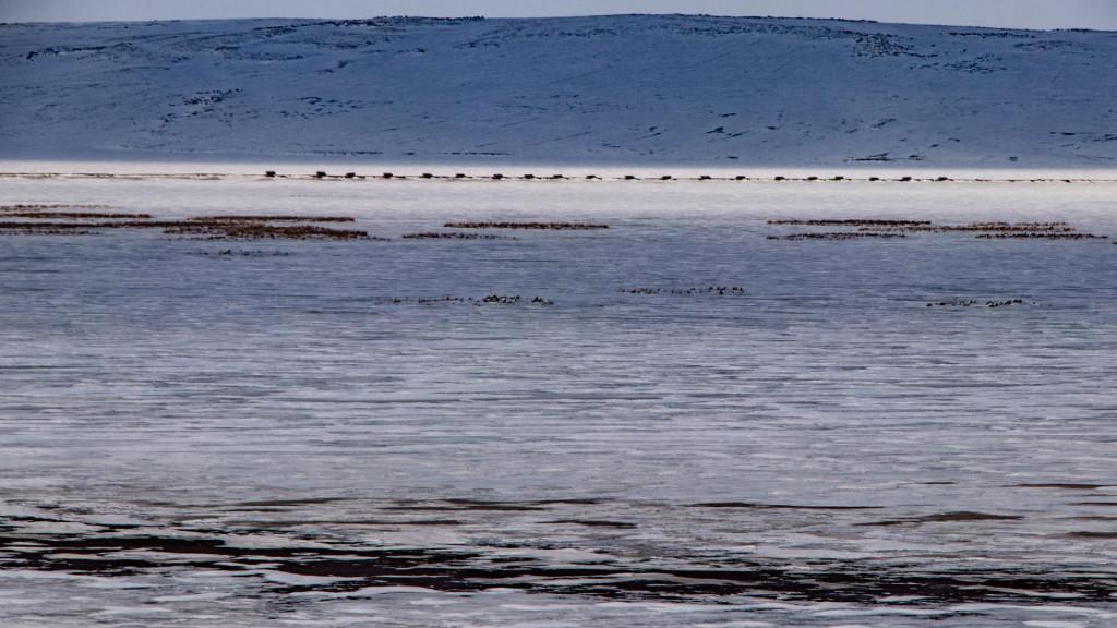 ხანჩალის აღკვეთილი - Khanchali Managed Reserve