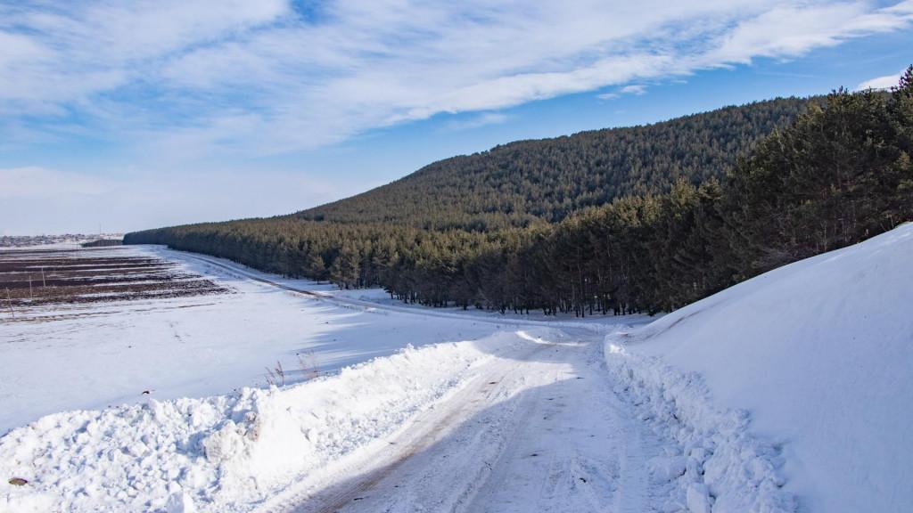 ხანჩალის აღკვეთილი - Khanchali Managed Reserve