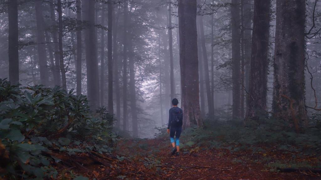 Mtirala National Park, Adjara, ეროვნული პარკი