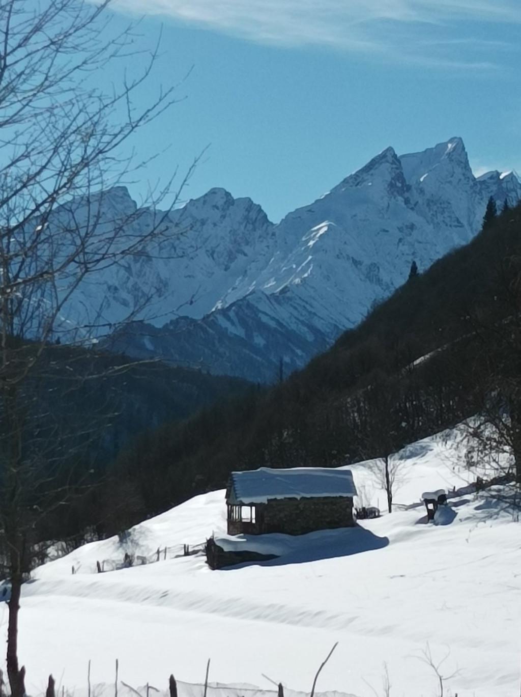 მთის რაჭა