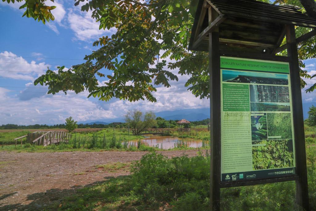 swamps of Ispani, Ispani Wetlands, Kobuleti Protected Areas, ისპანის ჭაობები