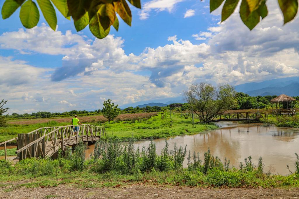Kobuleti National Park, swamps of Ispani, Ispani Wetlands ისპანის ჭაობები