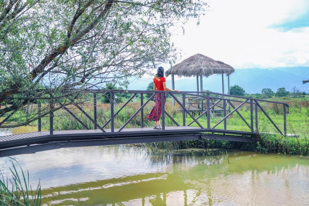 Kobuleti National Park, swamps of Ispani, Ispani Wetlands ისპანის ჭაობები