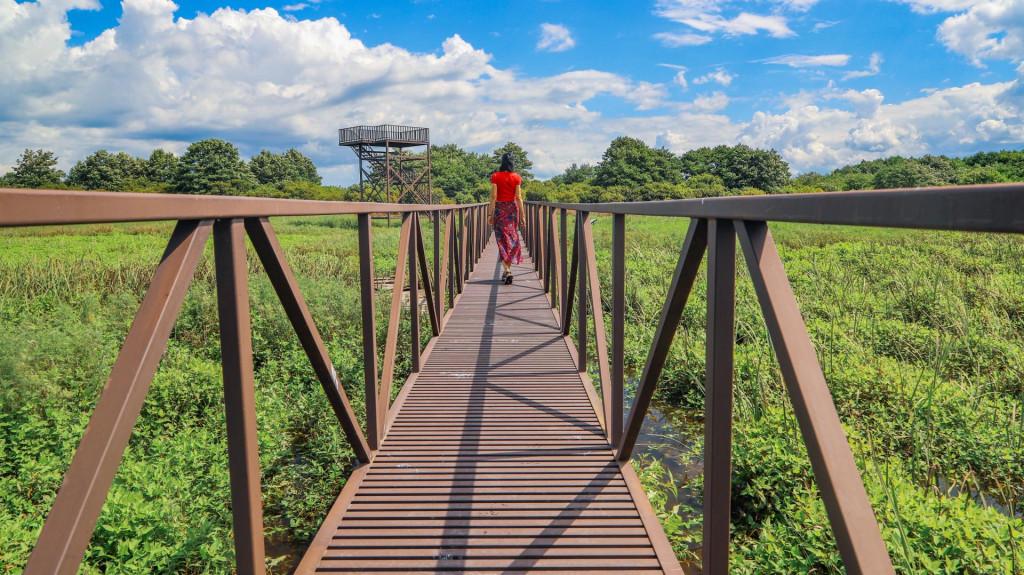 Kobuleti National Park, swamps of Ispani, Ispani Wetlands ისპანის ჭაობები