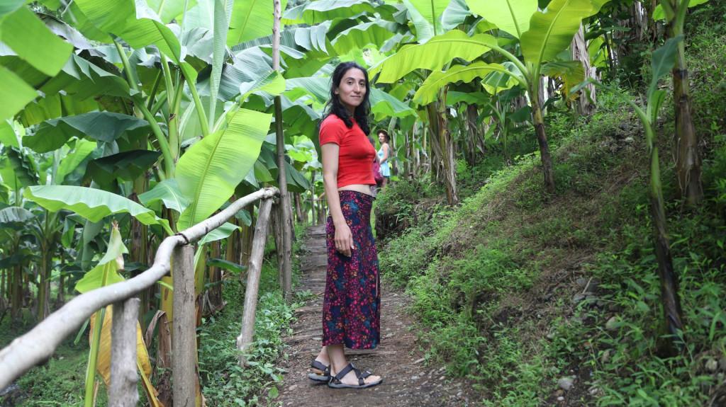 ციხისძირი