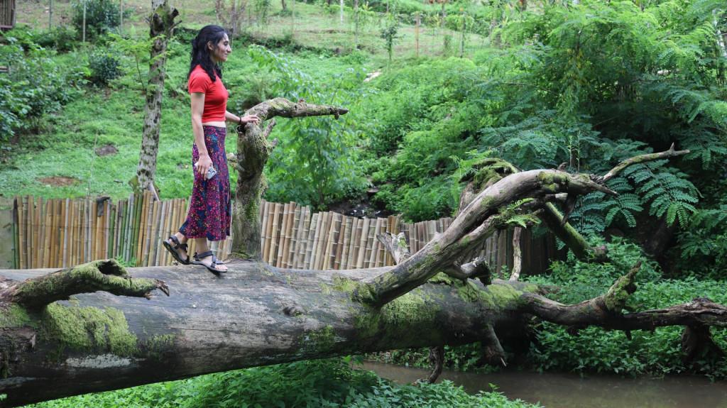 ციხისძირი