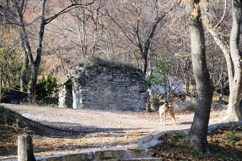 ციხედიდი