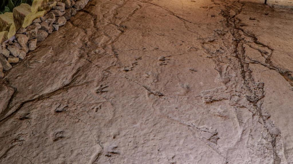 სათაფლია, სათაფლიის აღკვეთილი - Sataplia