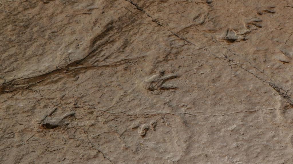 სათაფლია, სათაფლიის აღკვეთილი - Sataplia