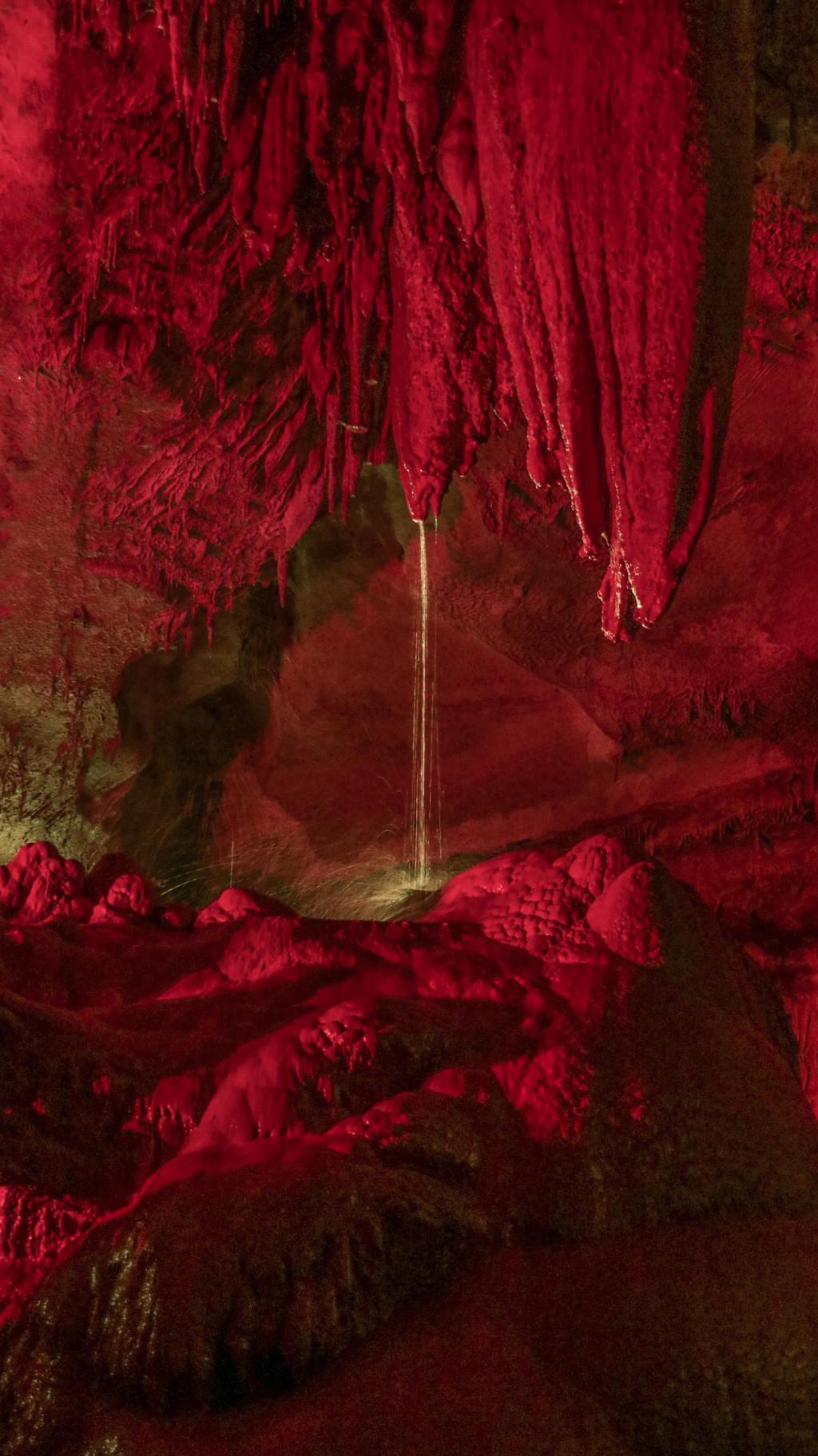 სათაფლია, სათაფლიის აღკვეთილი - Sataplia