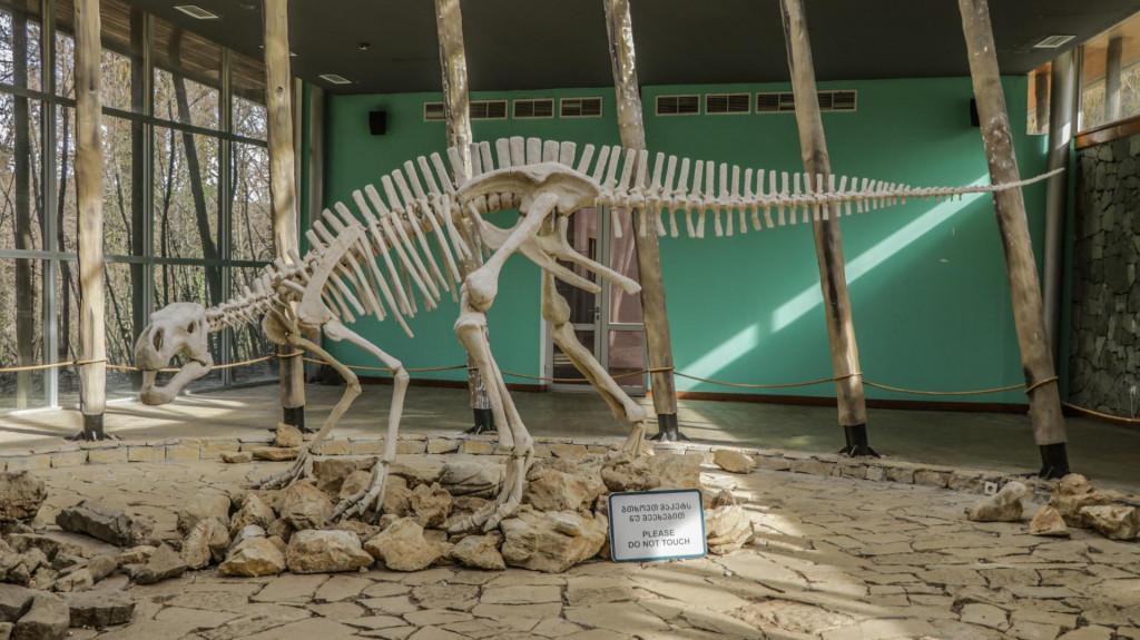 სათაფლია, სათაფლიის აღკვეთილი - Sataplia