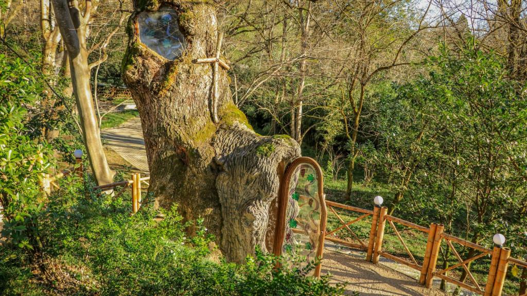 ქუთაისის ბოტანიკური ბაღი - Kutaisi Botanical Garden