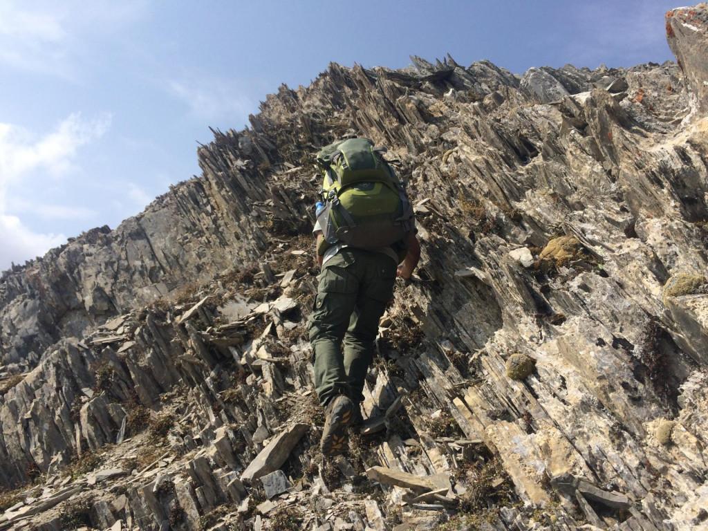 mwvervali deda ena summit gogebashvili