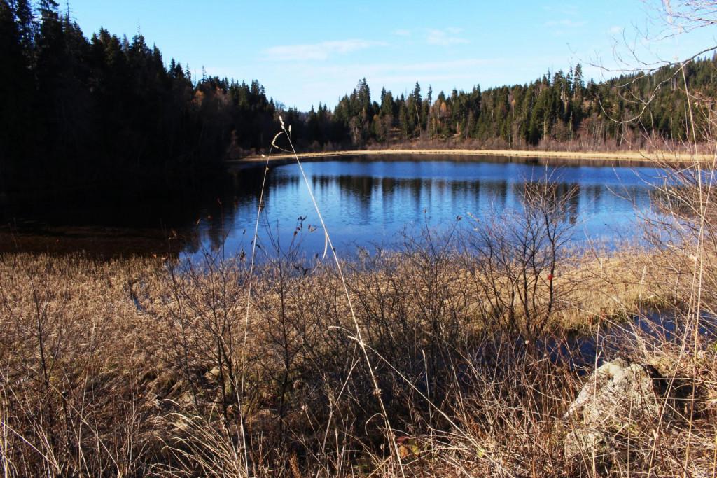 წეროს ტბა, ბორჯომი - Tsero lake, Borjomi