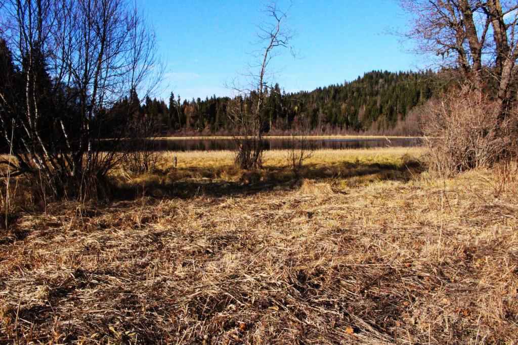 წეროს ტბა, ბორჯომი - Tsero lake, Borjomi