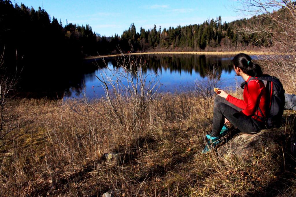 წეროს ტბა, ბორჯომი - Tsero lake, Borjomi
