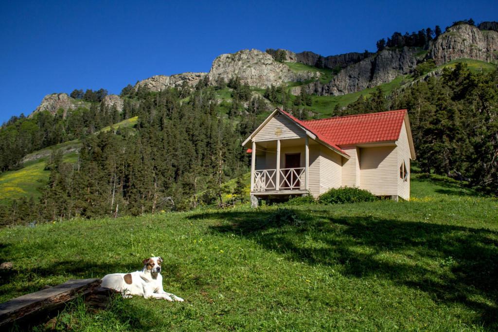 ამარათის ტურისტული თავშესაფარი, ბორჯომ-ხარაგაულის ეროვნული პარკი