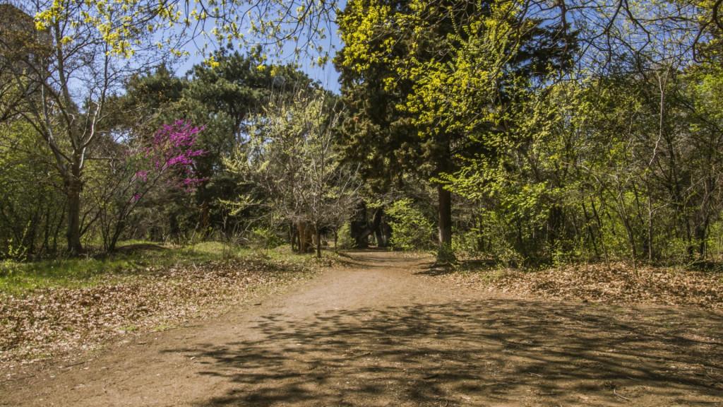 Dighomi Park, დიღმის ტყე-პარკი