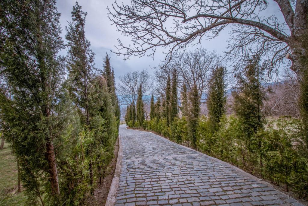 მამკოდის მონასტერი - mamkoda monastery