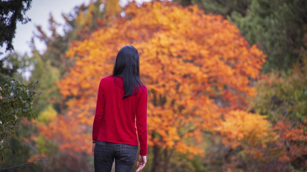 Tbilisi Dendrological Park, Autumn