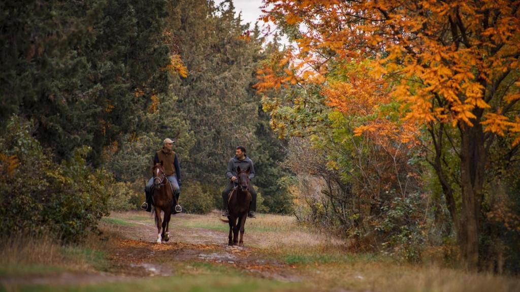 Tbilisi Dendrological Park, Autumn