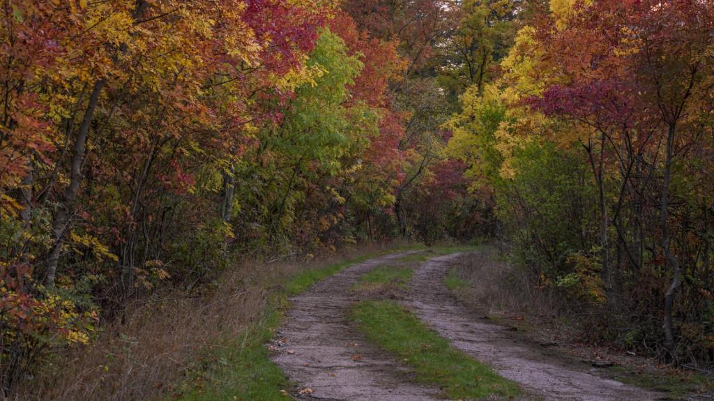 Tbilisi Dendrological Park, Autumn