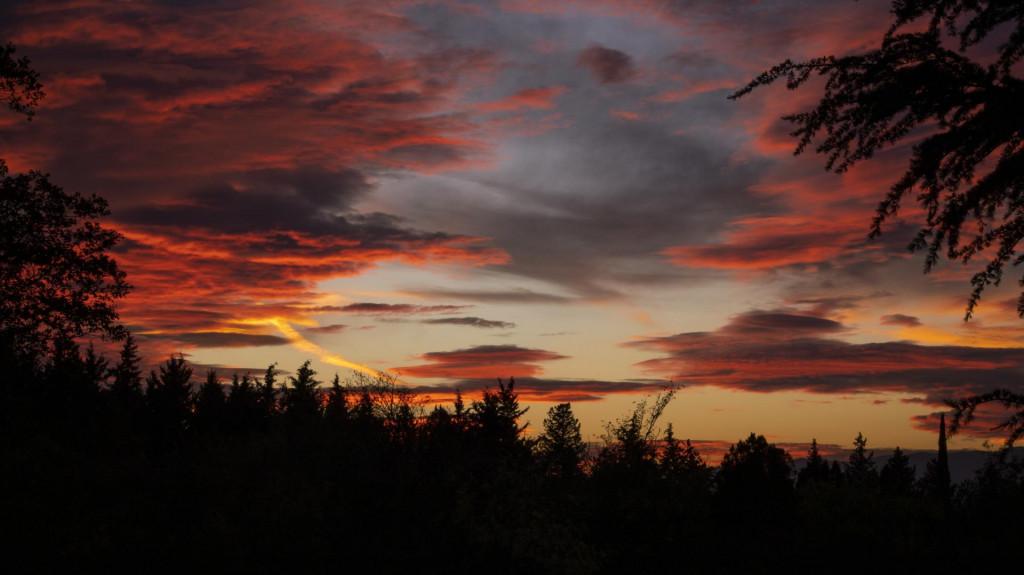 Tbilisi Dendrological Park, Autumn
