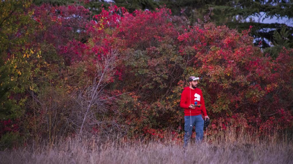 Tbilisi Dendrological Park, Autumn
