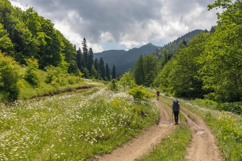 ნეძვის ეროვნული პარკი ბილიკი