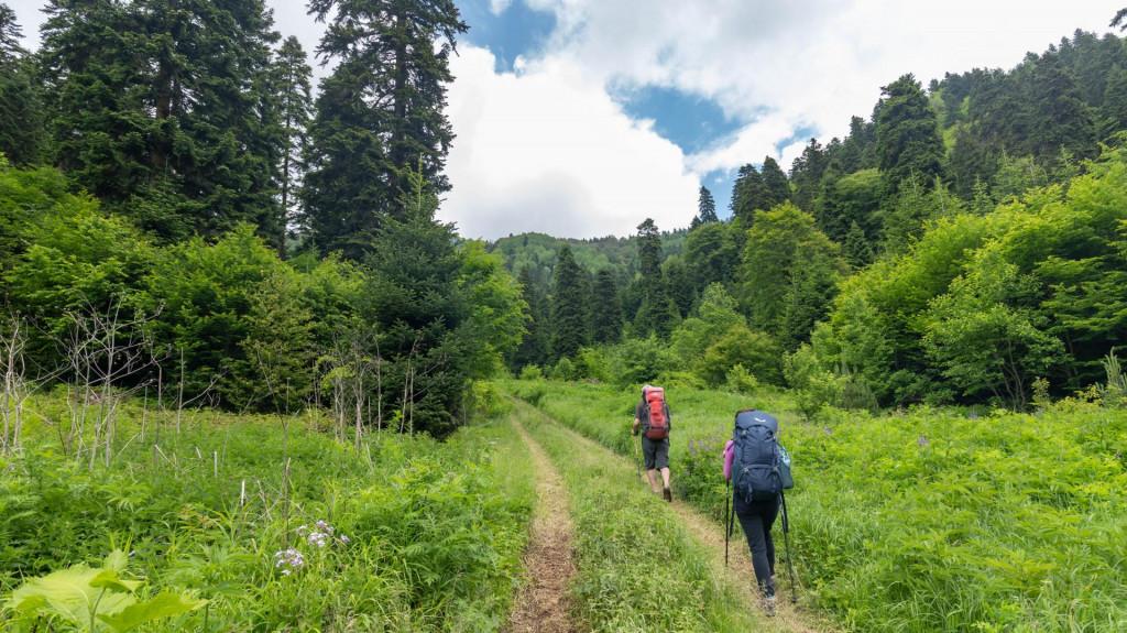 ნეძვის ეროვნული პარკი ბილიკი